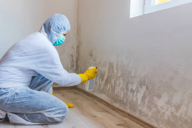 Licensed Commercial Mold Remediation service in Zarephath, NJ - WQB Mold Removal