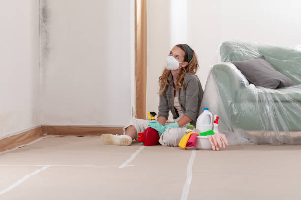Reliable Commercial Mold Remediation contractor in Zarephath, NJ by WQB Mold Removal